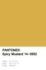 spicy-mustard